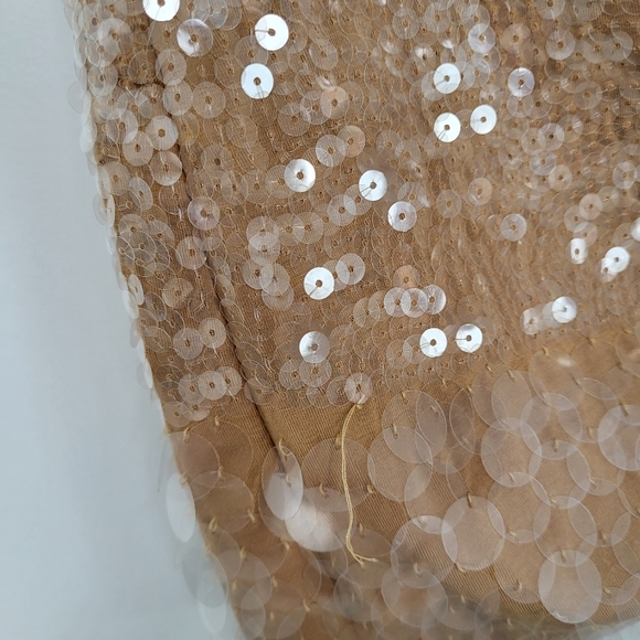 Nude Dress with Clear Sequins - Marlyn Monroe inspo - Picture 3 of 3